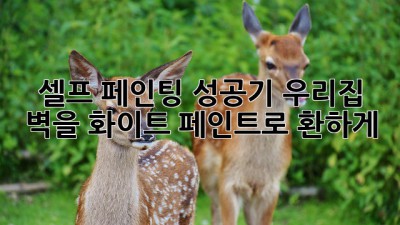 셀프 페인팅 성공기: 우리집 벽을 화이트 페인트로 환하게 ✨