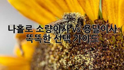 나홀로 소량이사 vs 용달이사? 똑똑한 선택 가이드! ✨